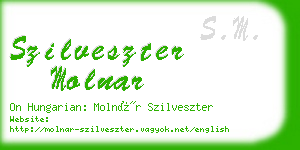szilveszter molnar business card